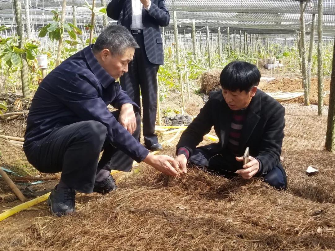 亚洲必赢·(中国区)官方网站