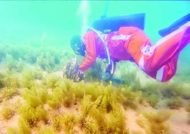 亚洲必赢·(中国区)官方网站