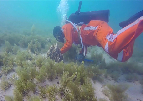 亚洲必赢·(中国区)官方网站