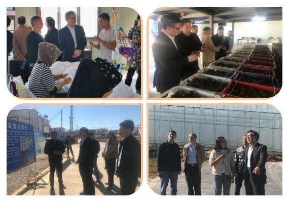 亚洲必赢·(中国区)官方网站