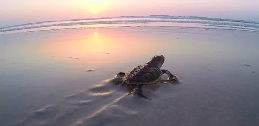 亚洲必赢·(中国区)官方网站