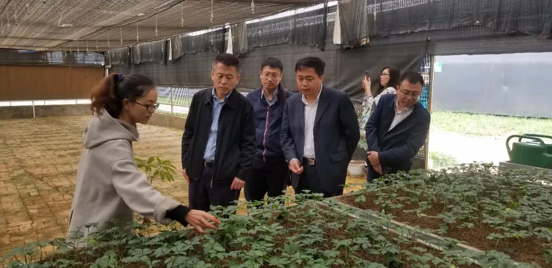 亚洲必赢·(中国区)官方网站