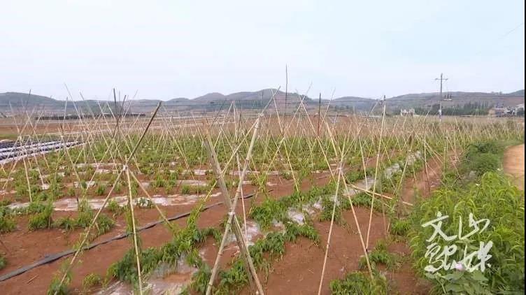 亚洲必赢·(中国区)官方网站