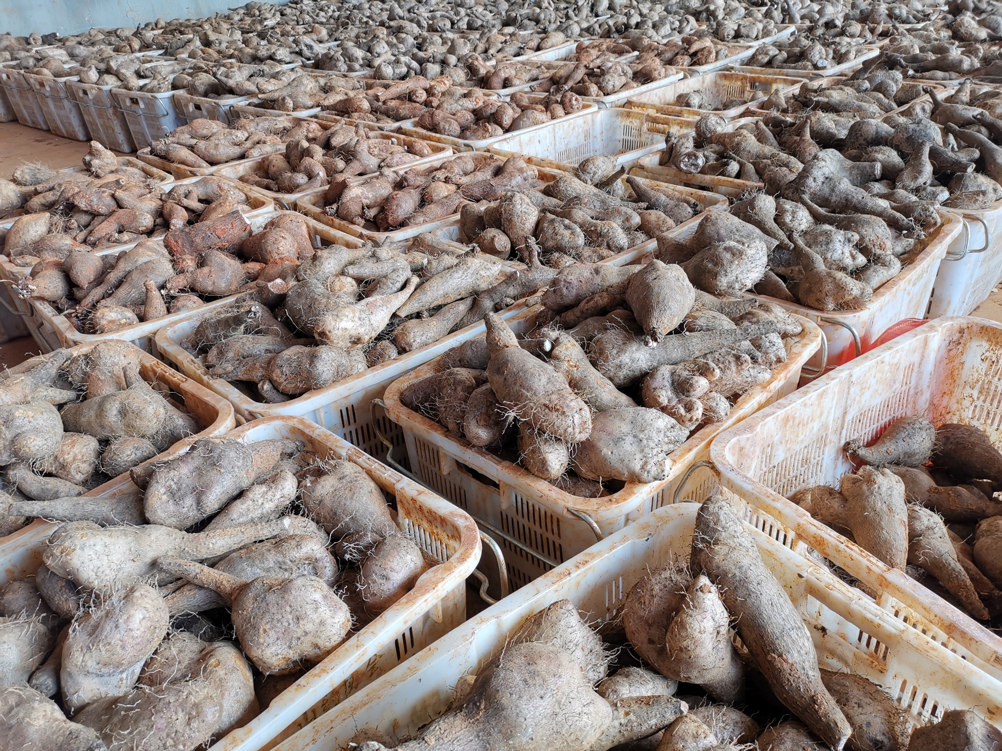 亚洲必赢·(中国区)官方网站